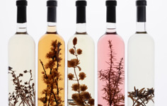 Sección Fitoterapia