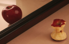 Sección Trastronos & Desórdenes